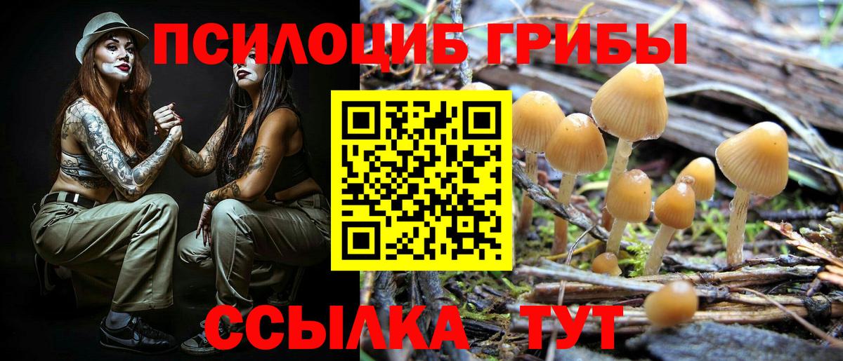 Галлюциногенные грибы ЛСД  Вход с VPN  Зеленодольск  Галлюциногенные грибы GOLDEN TEACHER 