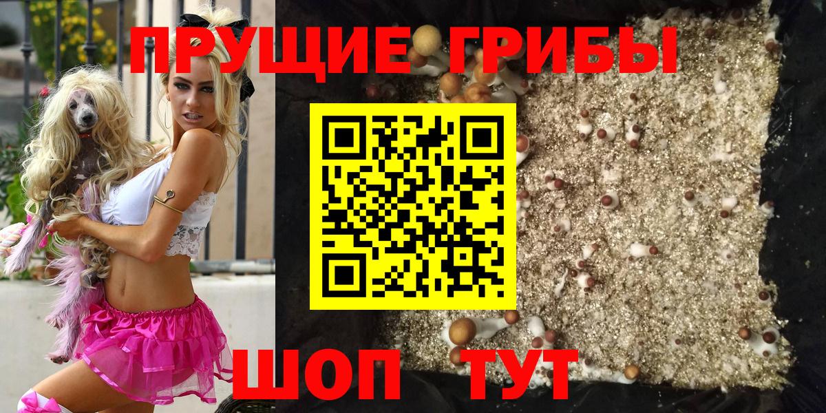 Галлюциногенные грибы Psilocybe Зеленодольск